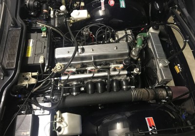 EFI with ECUMASTER.JPG